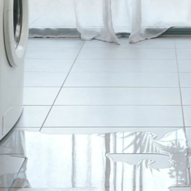 Appliance Leak Cleanup in Cedar Falls, IA