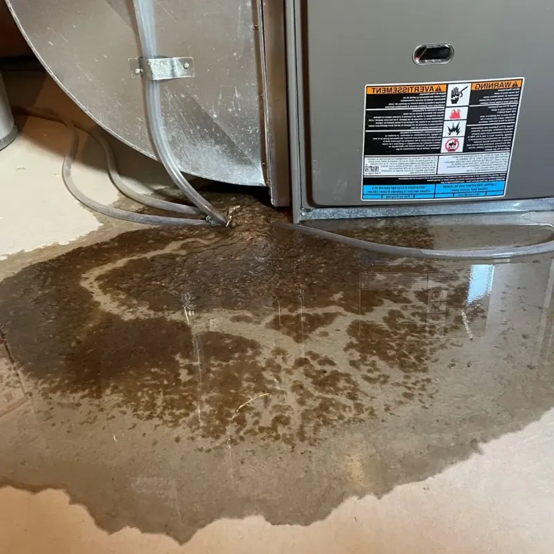 Pipe Burst and Leak Restoration in Cedar Falls, IA